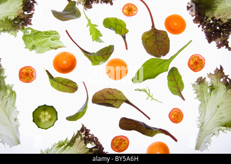 Verschiedene Früchte und Gemüse auf einem Leuchtkasten angeordnet Stockfoto