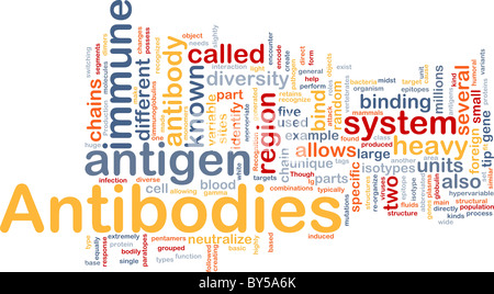 Hintergrund-Konzept Wordcloud Illustration der Medizin Antikörper Immunität Stockfoto