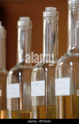 Detail der Flaschen Weißwein Stockfoto