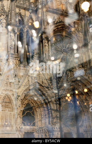 Detail einer Kathedrale und Spiegelungen im Glas, Notre-Dame de Reims, Reims, Frankreich Stockfoto