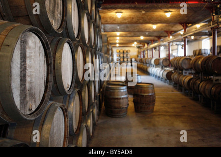 Barriques in einer Weinkellerei Stockfoto