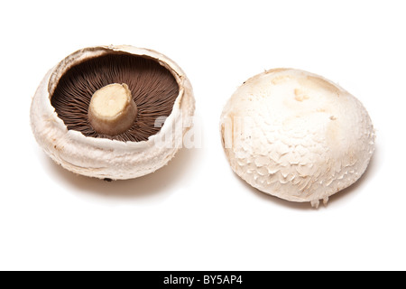 Weiße Champignons auf ein weißes Studio-Hintergrund zu isolieren. Stockfoto