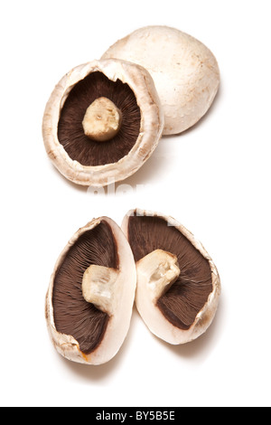 Weiße Champignons auf ein weißes Studio-Hintergrund zu isolieren. Stockfoto