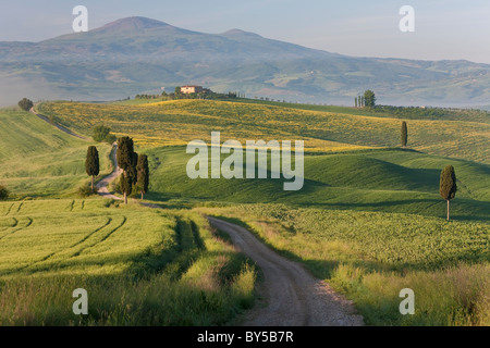 Track, San Quirico d ' Orcia, Val d ' Orcia, Toskana, Italien Stockfoto