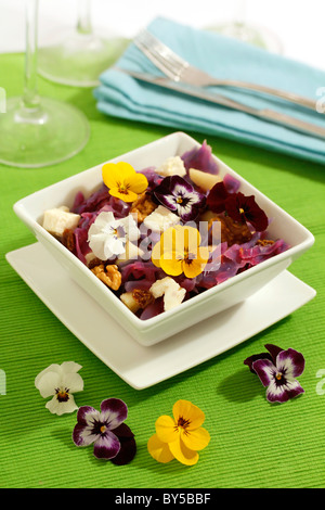 Rotkraut Salat "vier Jahreszeiten". Rezept zur Verfügung. Stockfoto