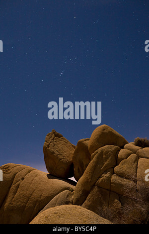 Mondbeschienenen Landschaft mit Sternenhimmel und das Sternbild Orion im Joshua Tree Nationalpark, Kalifornien, USA. Stockfoto