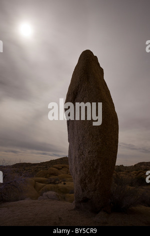 Mondlicht scheint auf einem Granit-Monolith in der Nacht in der Jumbo Rocks Campground. Joshua Tree Nationalpark, Kalifornien, USA. Stockfoto