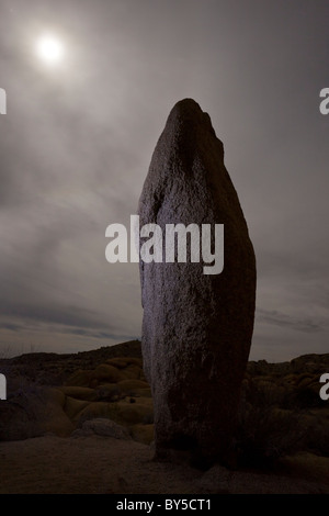 Mondlicht scheint auf einem Granit-Monolith in der Nacht in der Jumbo Rocks Campground. Joshua Tree Nationalpark, Kalifornien, USA. Stockfoto