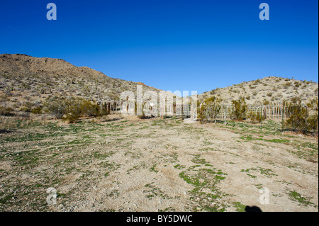 Chukar Jagdgebiet in der westlichen Mojave-Wüste in der Nähe von Barstow, Kalifornien Stockfoto