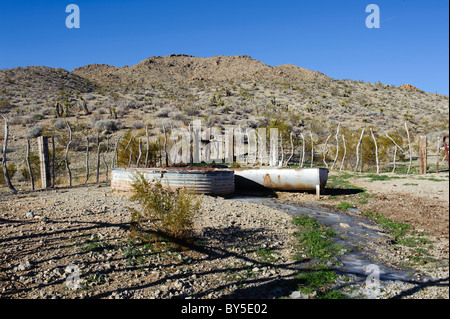 Frühling in Chukar Jagdgebiet in der westlichen Mojave-Wüste in der Nähe von Barstow, Kalifornien Stockfoto