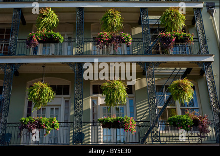 Farne und Blumenkörben schmücken einen Balkon in New Orleans, Louisiana. Stockfoto