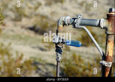 Frühling in Chukar Jagdgebiet in der westlichen Mojave-Wüste in der Nähe von Barstow, Kalifornien Stockfoto