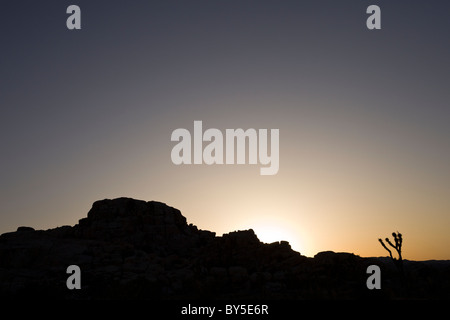 Berge und einsame Joshua Tree (Yucca Brevifolia) Silhouette bei Sonnenuntergang im Joshua Tree National Park Stockfoto