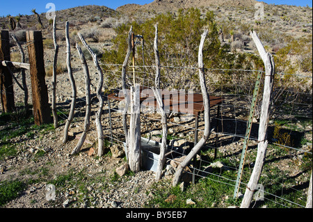 Frühling in Chukar Jagdgebiet in der westlichen Mojave-Wüste in der Nähe von Barstow, Kalifornien Stockfoto