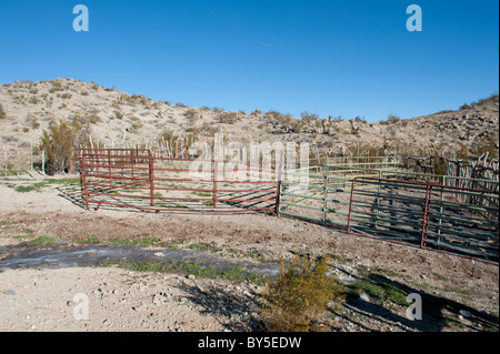 Chukar Jagdgebiet in der westlichen Mojave-Wüste in der Nähe von Barstow, Kalifornien Stockfoto