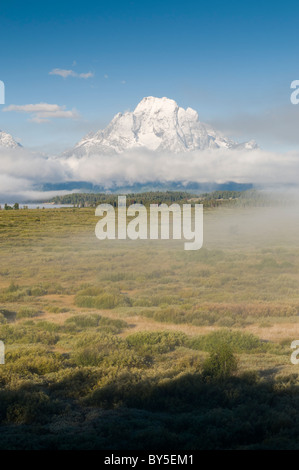 schneebedeckten Mount Moran ergibt sich aus dem Nebel bei Sonnenaufgang Stockfoto