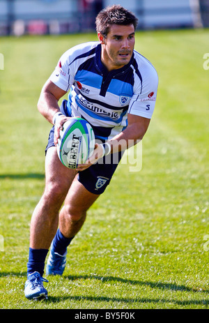 Ein Rugby-Spieler mit Ball macht eine Pause während eines Spiels im Vereinigten Königreich. Stockfoto