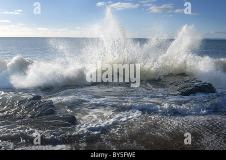 Surf - John Gollop Stockfoto