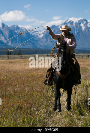 Cowboy auf Pferd mit Lasso, verschneiten Teton Bergkette in der Ferne Stockfoto