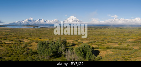 Panorama der schneebedeckten Teton Berge an einem klaren Morgen, Grand Teton National Park Stockfoto