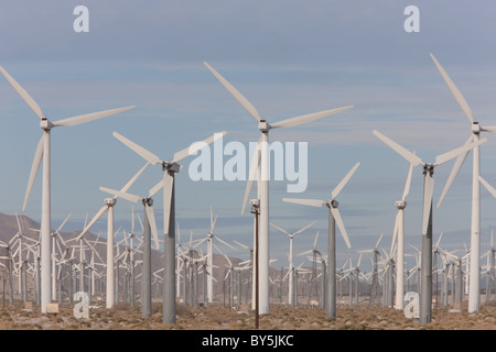 Windkraftanlagen zur Stromerzeugung auf dem San Gorgonio Pass Wind Farm mit Palm Springs, Kalifornien. Stockfoto