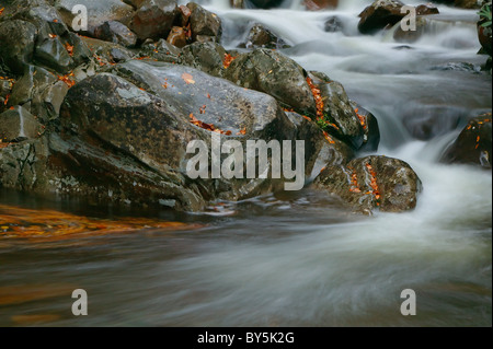 Fall River-Szene auf die West-Zinke des Little Pigeon River im Great Smoky Mountains National Park Stockfoto