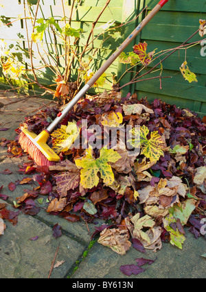 HAUFEN VON HERBST BLÄTTER AUF TERRASSE MIT PINSEL Stockfoto