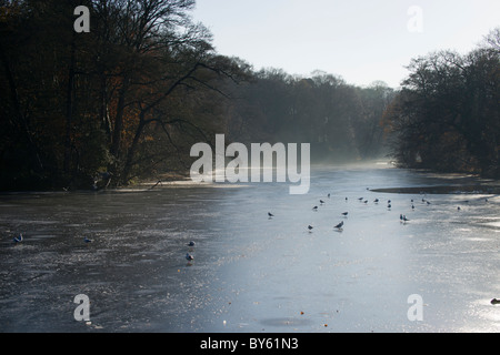 Raby Mere im Winter 2010 die bloße eingefroren ist. Stockfoto