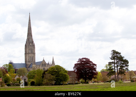 Die Kathedrale von Salisbury Harnham Auen Stockfoto