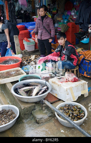 Fisch in einem Markt zu verkaufen. Sapa, Provinz Lao Cai, Vietnam. Stockfoto