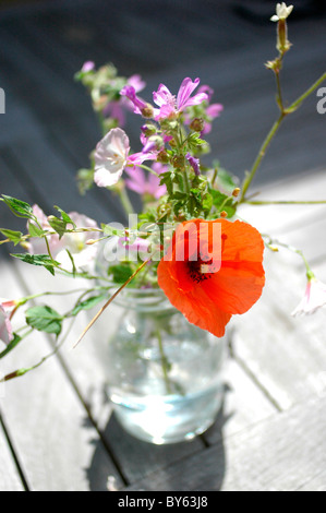 Marmeladenglas gefüllt mit wilden Blumen an einem Sommertag in Südwest-Frankreich Stockfoto