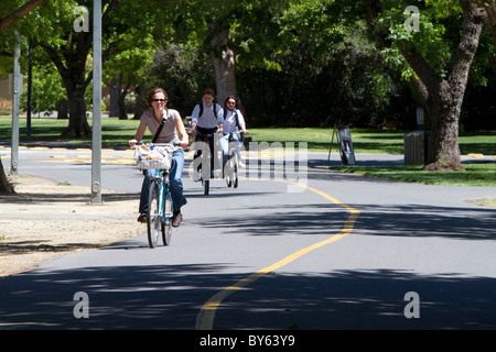 Nur-Fahrrad-Wege auf dem Campus der UC Davis, California, USA. Stockfoto