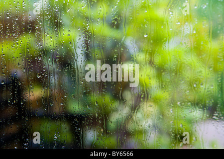 GARTEN, ANGEZEIGT DURCH EIN FENSTER IM REGEN Stockfoto