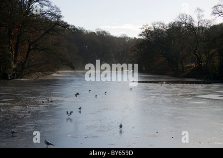 Raby Mere im Winter 2010 die bloße eingefroren ist. Stockfoto