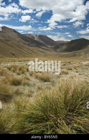 Lindis Pass im Süden der Insel. Stockfoto