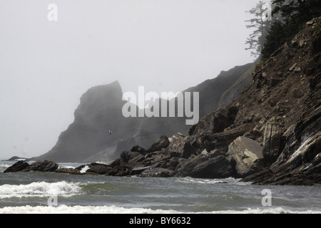 Nebel Strand Oswald West Staatspark Oregon Stockfoto