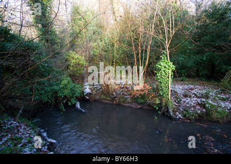 Raby Mere im Winter 2010 die bloße eingefroren ist. Stockfoto