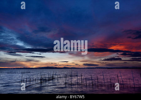 Sonnenuntergang in La Albufera-See (Valencia, Spanien) Stockfoto