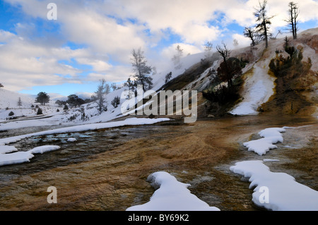 Bunte Travertin auf der Frühjahrstagung des Palette. Mammoth Hot Springs, Yellowstone-Nationalpark, Wyoming, USA. Stockfoto