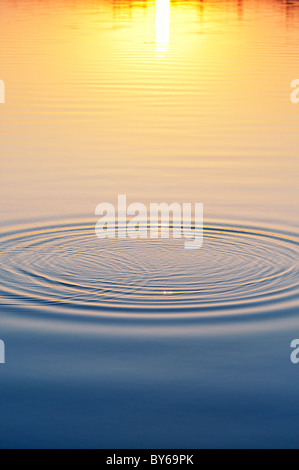 Goldene Wasserwellen bei Sonnenuntergang an einem See in Indien Stockfoto