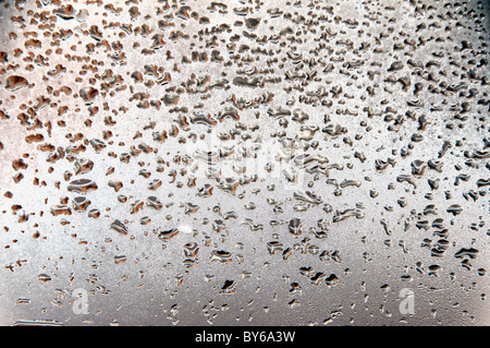 Wassertropfen auf der Windschutzscheibe. Stockfoto