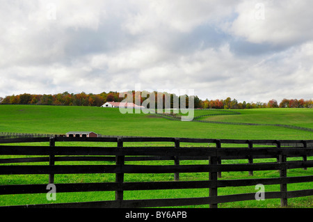 Eine Pferderanch in Saratoga County, New York. Stockfoto
