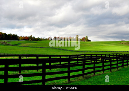 Ländliche Pferderanch im Bundesstaat New York. Stockfoto