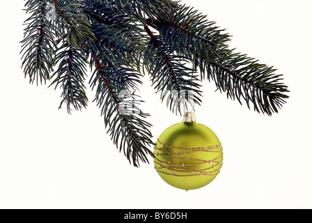 Weihnachtskugel als Closeup am Weihnachtsbaum auf weißem Hintergrund Stockfoto