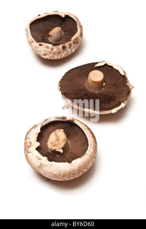 Weiße Champignons auf ein weißes Studio-Hintergrund zu isolieren. Stockfoto