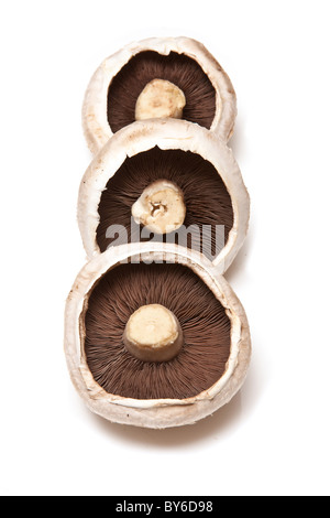 Weiße Champignons auf ein weißes Studio-Hintergrund zu isolieren. Stockfoto