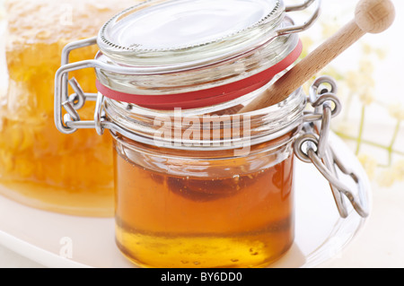 Glas mit Waben Honig und Honig-Tropfer als Closeup auf weißem Hintergrund Stockfoto