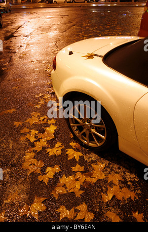 mg Porsche Typ Auto und Blätter auf der Straße in der Nacht in Trastevere, Rom Stockfoto