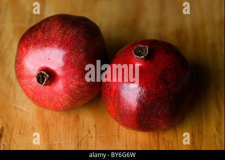 Granatapfel Punica Granatum Stockfoto