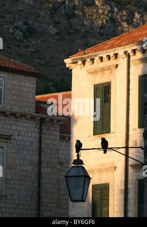 Szene der Stadt in die Altstadt von Dubrovnik, Dubrovnik, Kroatien Stockfoto